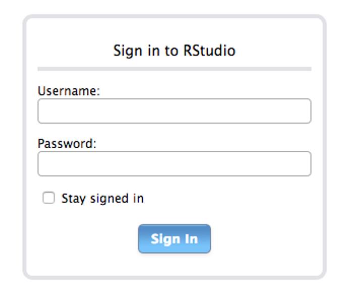 RStudio Server Login