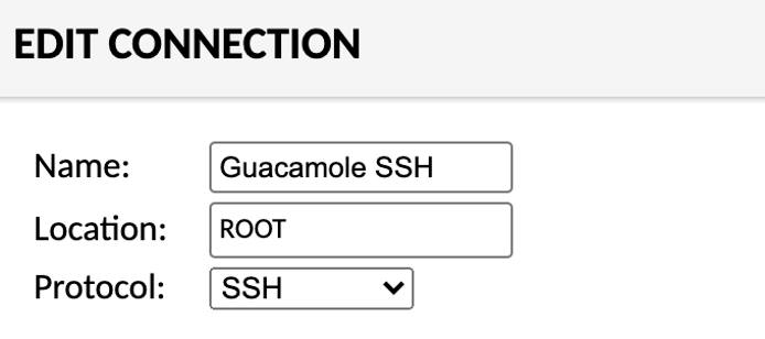 The Edit Connection section of the New Connection screen in Guacamole