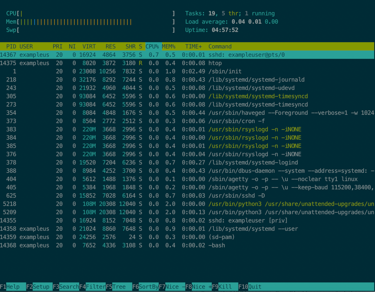 htop lists processes and sorts by consumption